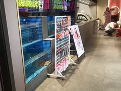 -涿派·炝锅鱼(涿州店)