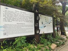 -水墨汀溪风景区