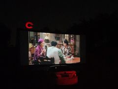-枫花园汽车电影院(朝阳公园店)