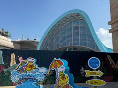 -新加坡水上探险乐园