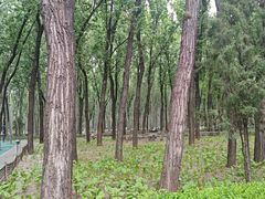 -森林公园(尖草坪区)