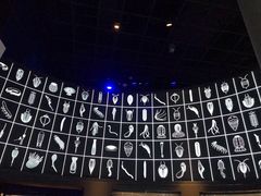 -贝林大翅鲸简餐厅(国家海洋博物馆店)