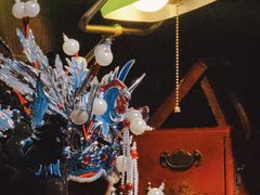 -武汉知音号