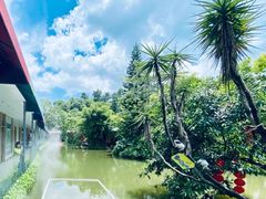 -一品烧农庄·佛山本地特色菜