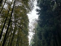 -山王坪喀斯特国家生态公园