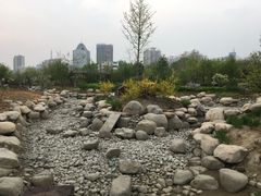 -莲花池公园