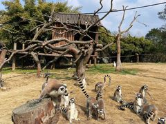 -宁波野生动物园