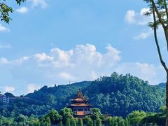 -顺峰山公园