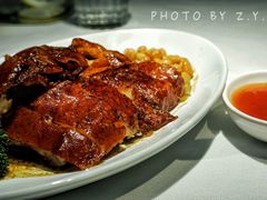 脆皮烧鸭-汤城小厨•粤菜•靓汤(金宝街店)