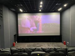 -SFC上影影城(港汇永华IMAX激光店)