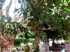 -侯臣咖啡文化村