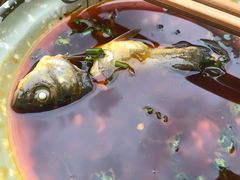-老船夫石锅苗苗鱼·老字号(三道堰总店)