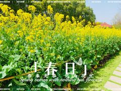 -徐家汇公园