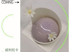 -威利旺卡烘焙西点蛋糕培训(朝阳校区)