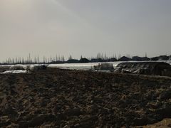 -青浦采草莓天天草莓园