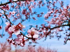 -白塘生态植物园