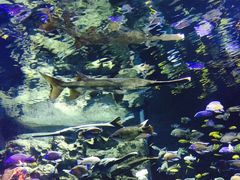 -成都浩海立方海洋公园