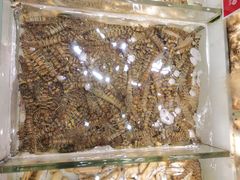 -万龙洲海鲜(大兴绿地缤纷城店)