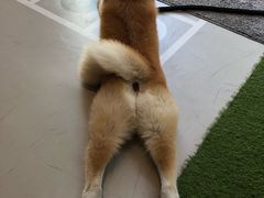-YCHL Studios健身工作室(市二宫店)