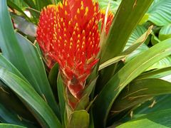 -国家植物园南园