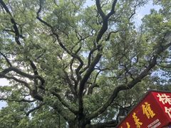 -南岳大庙