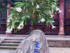 -古大圣慈寺
