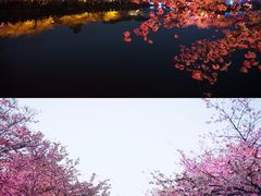 -东湖磨山景区
