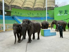 -大连森林动物园