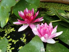 -南京金牛湖风景区