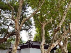 -杭州黄龙洞