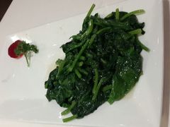 豌豆尖-Vista黔城(新业广场店)