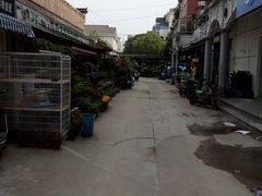 -平吉花卉市场