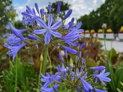 -上海山野camping·户外天幕烧烤·团建拓展营地