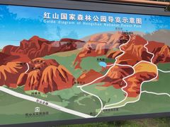 -红山国家森林公园
