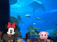 -雨林餐厅(长隆海洋王国店)