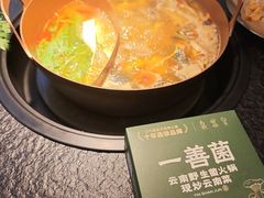 -一善菌·云南菌汤·云南菜(银泰城店)