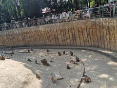 -南宁市动物园