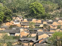 -杨家堂村