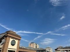 -苏小柳点心·手作小笼包(新街口分院店)