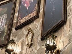 -雪灵魔法世界SHELLY’S TAROT(大良桂畔里店)