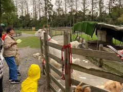 -前小桔亲子创意农场·草莓采摘·露营烧烤