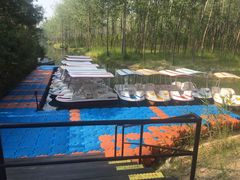 -合肥滨湖国家森林公园