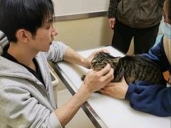 -爱妮康宠物医院·干细胞免疫细胞·肿瘤·心脏(张江店)