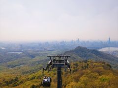 -紫金山山顶公园