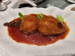 -丁老爷子苏香圆
