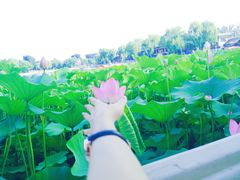 景观位-小王府(什刹海店)