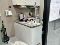 -四月宠物医院·猫专科·心脏专科·内科(转塘店)