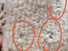 -洗衣通洗护生活馆(新疆路店)