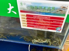 -阳澄湖大闸蟹·琼灵阁牌品牌连锁(吴中总店)