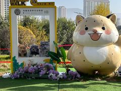 -青藏高原野生动物园